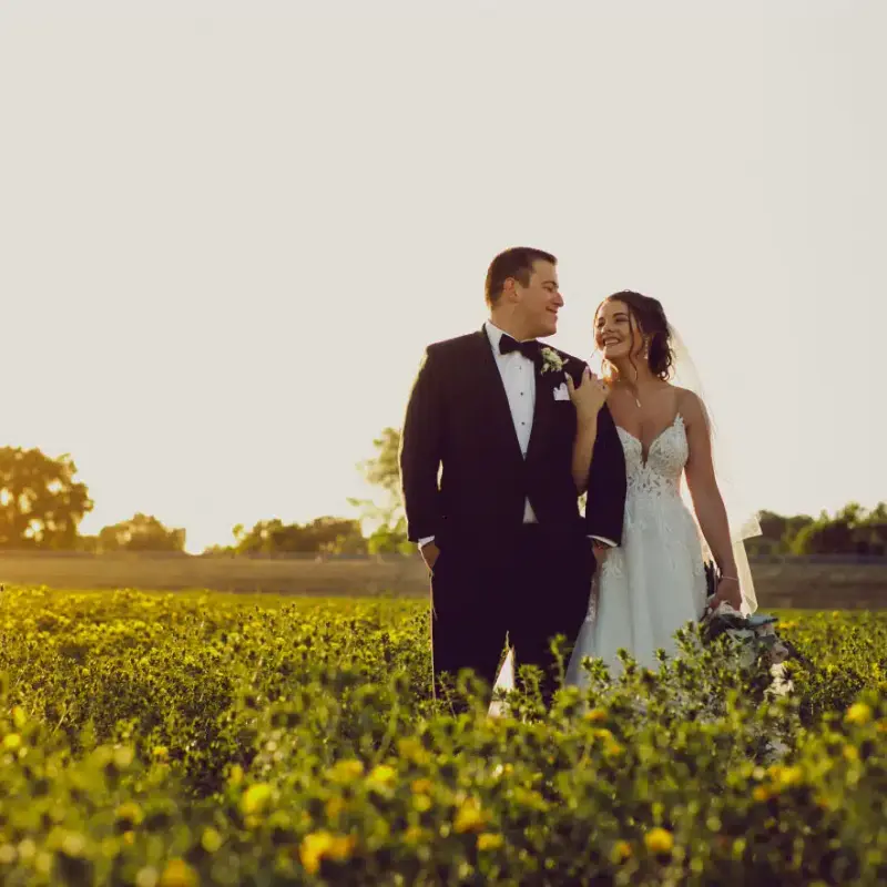 Scribner Bend Vineyards