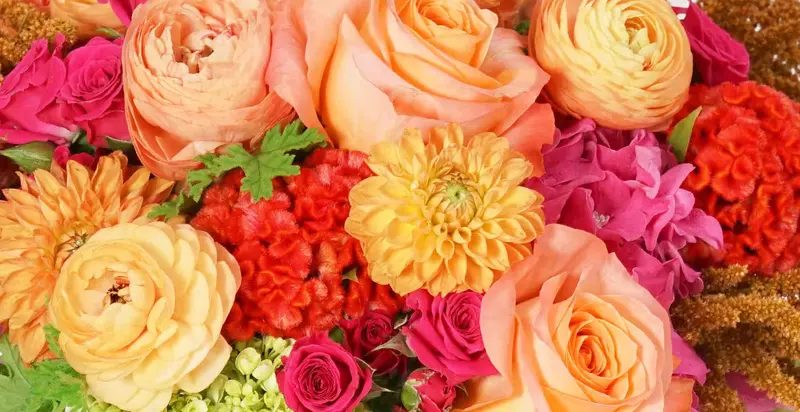 Robertson's Flowers & Events