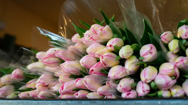 San Francisco Flower Market