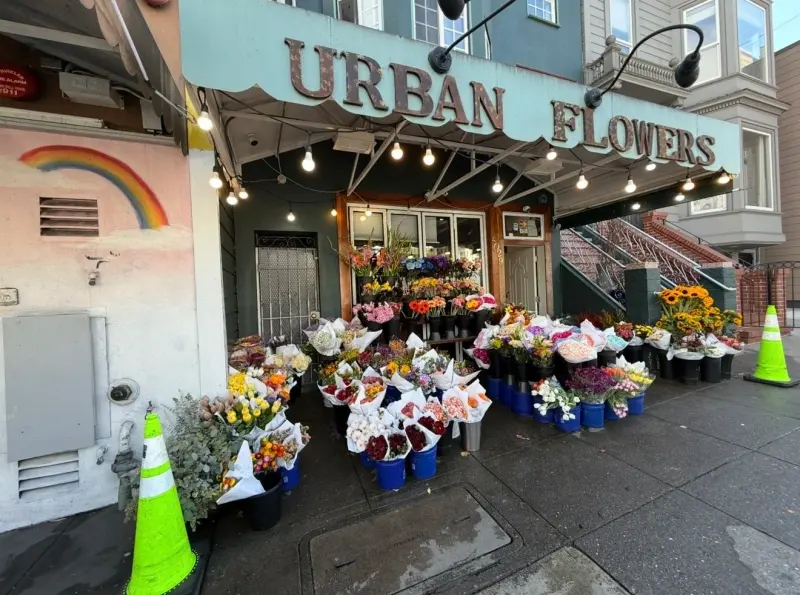 Urban Flowers