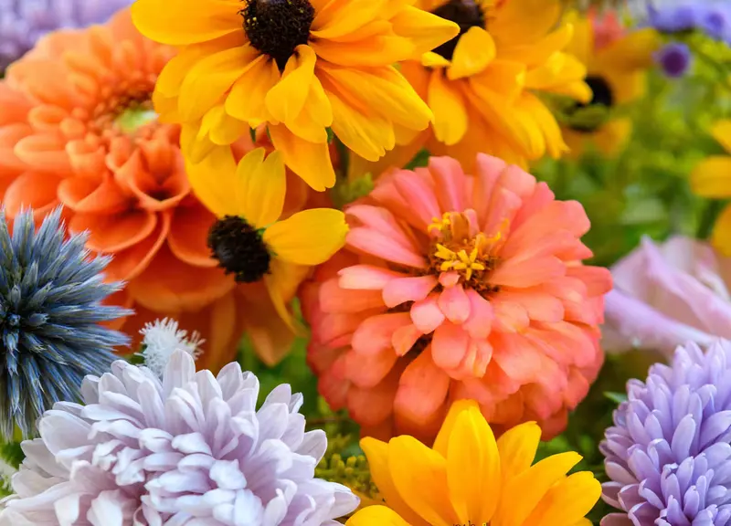 McNamara Florist