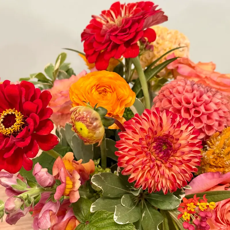 Spruce Flowers and Events