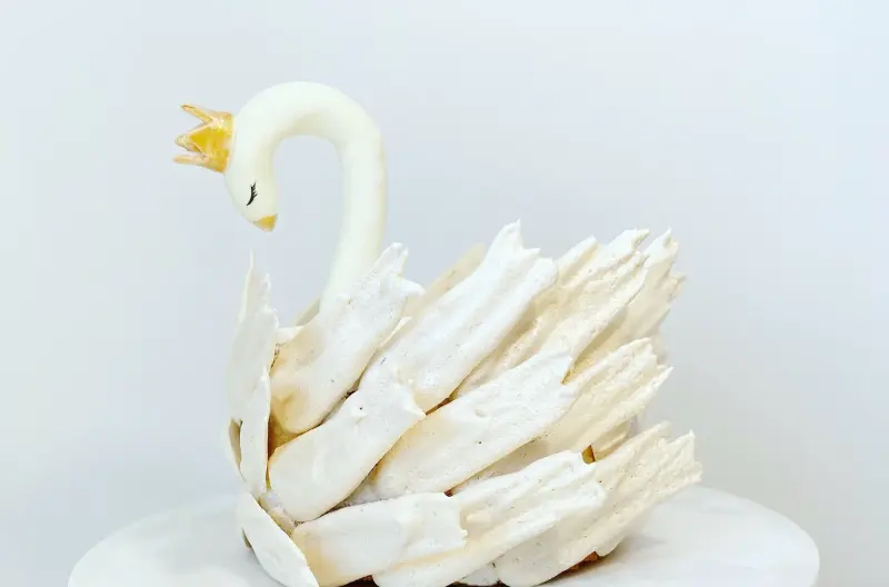 Zibatreats Cakes